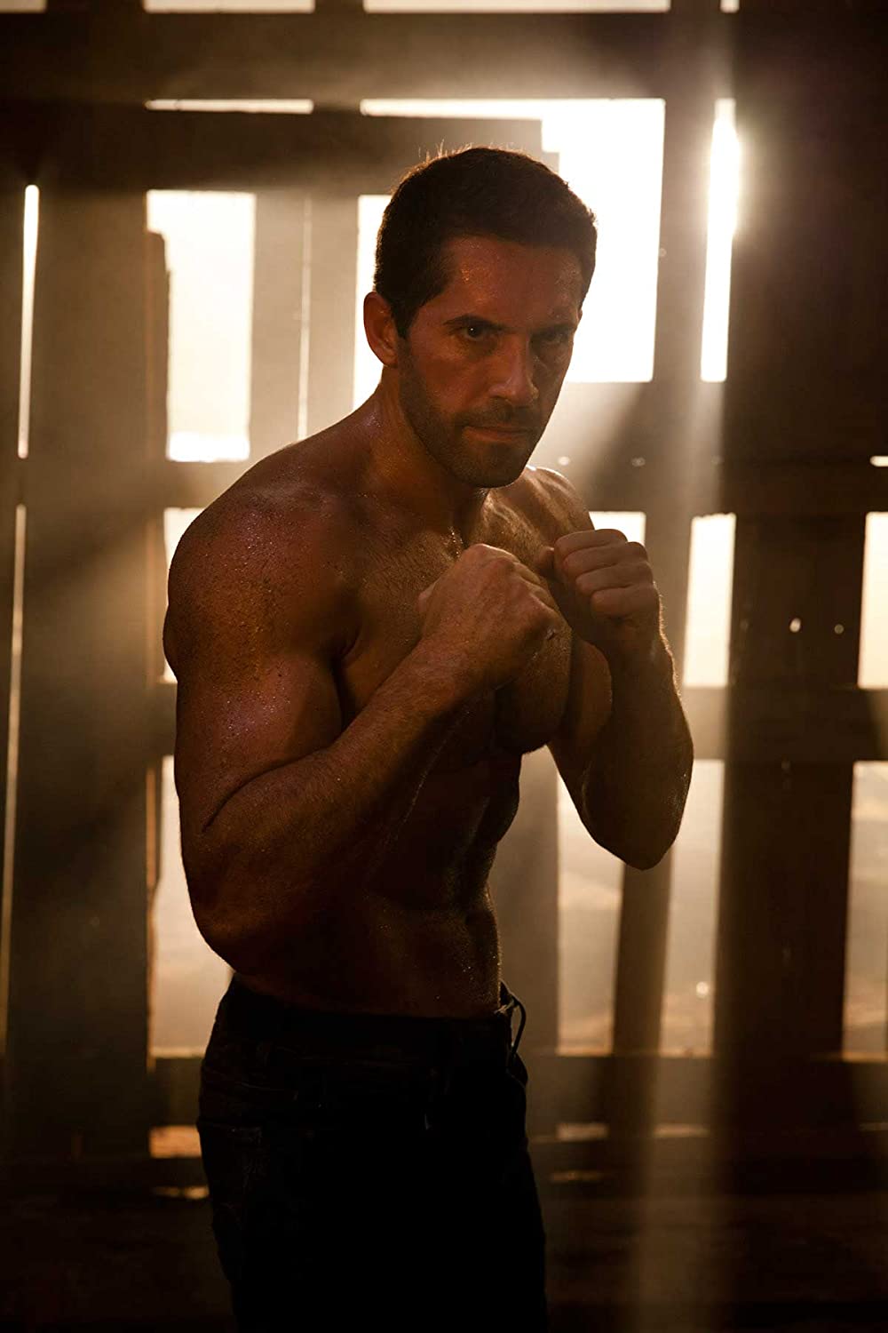 Foto de Scott Adkins - O Grande Mestre 4 : Fotos Scott Adkins - Foto 7 de  89 - AdoroCinema